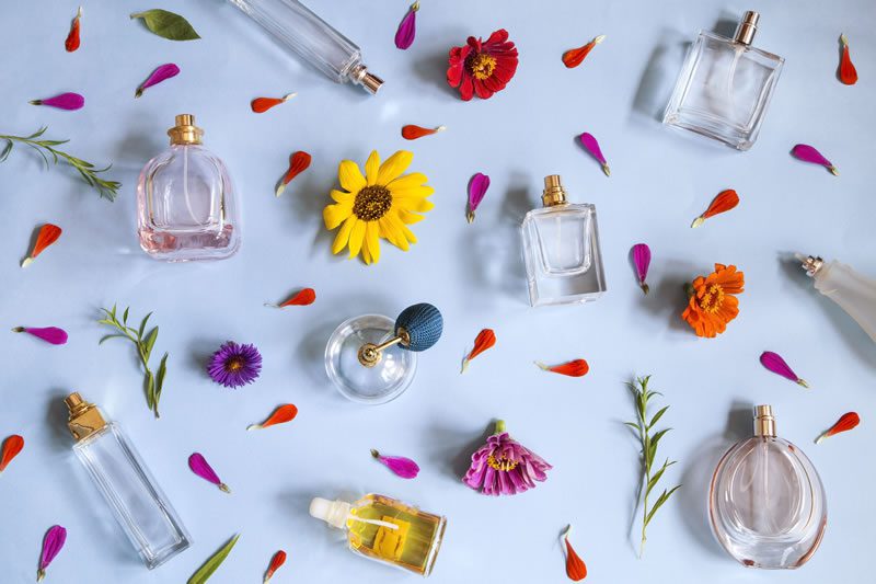 Perfume bottles and the spring flowers and petals on blue background